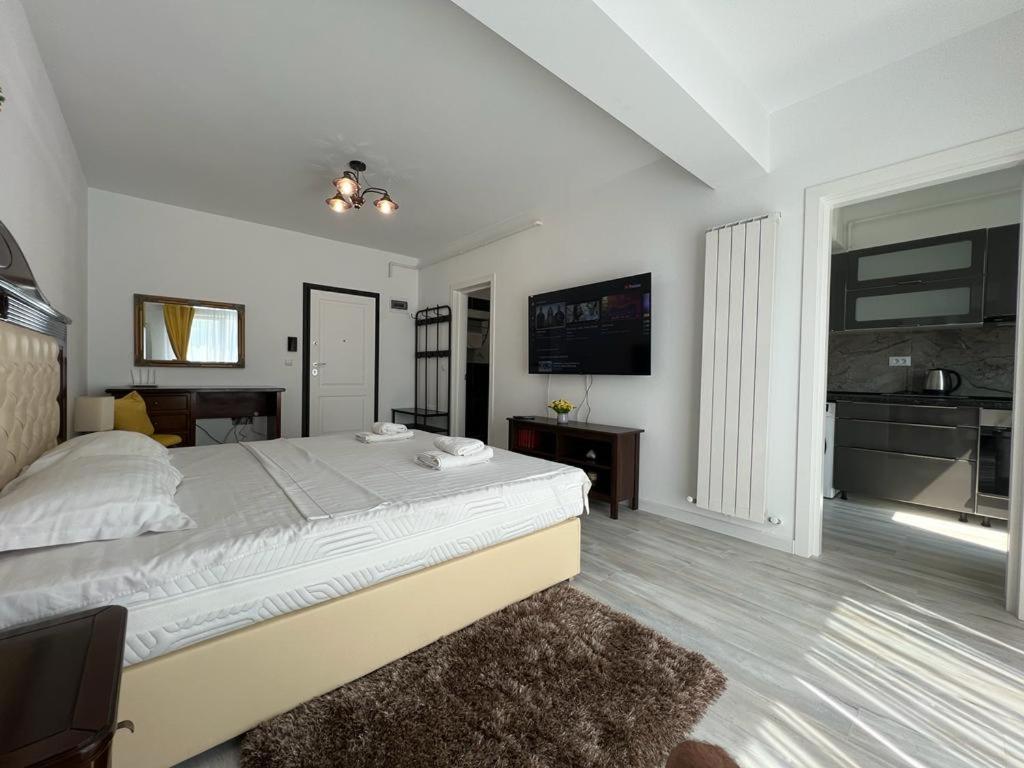 Urban Apartments And Studios - City Center Iasi Esterno foto