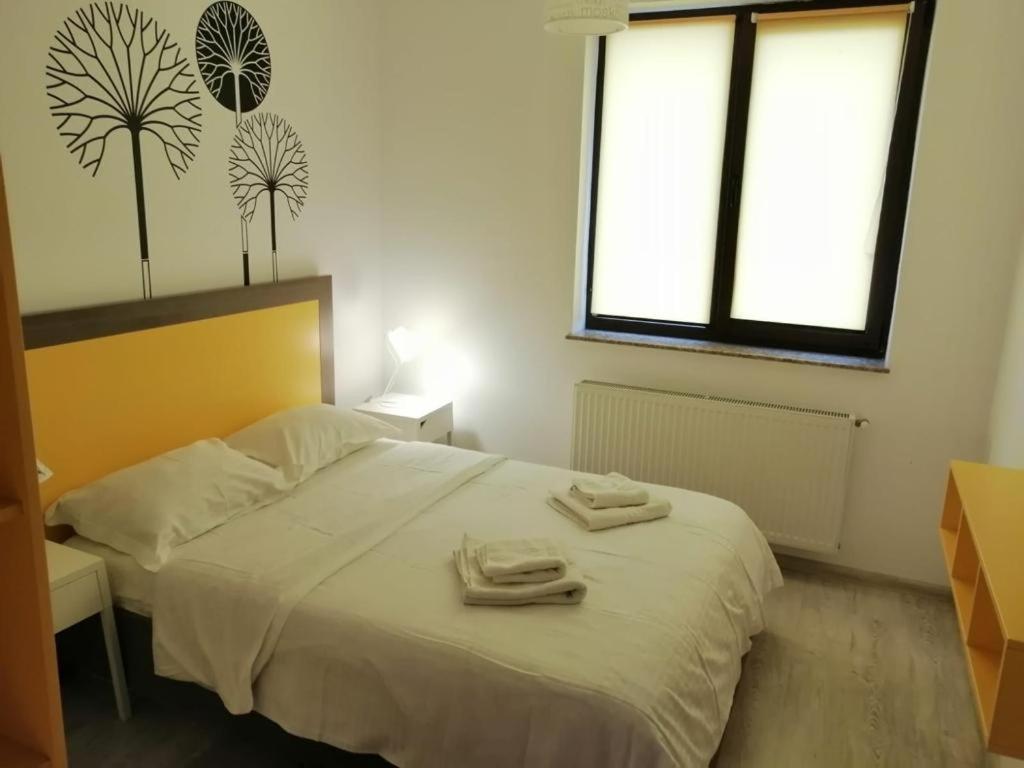 Urban Apartments And Studios - City Center Iasi Camera foto
